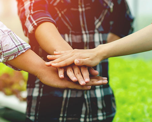 就労継続支援みらい（プラス）